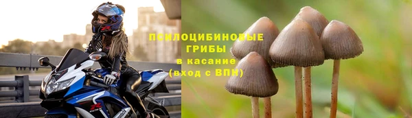мдма Новодвинск