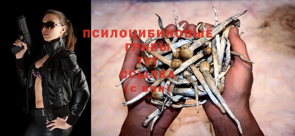 герыч Новокубанск