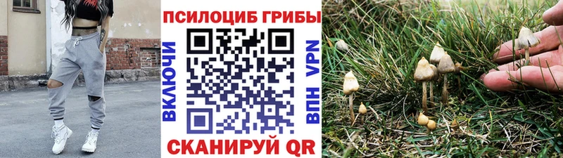 наркотики Нижняя Салда Галлюциногенные грибы Cubensis